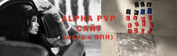 спиды Белокуриха