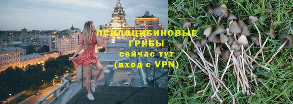 ешки Богородск