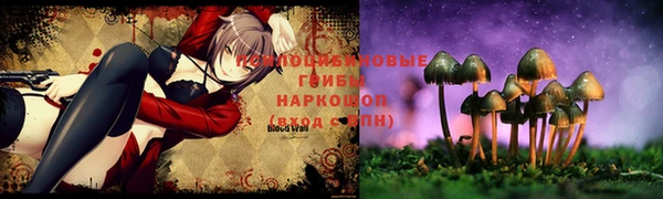 альфа пвп Беломорск