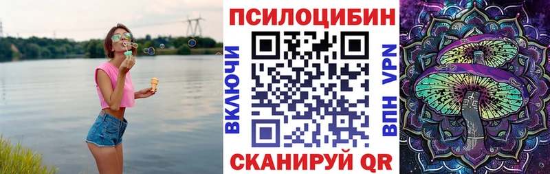 где купить   Мглин  Псилоцибиновые грибы прущие грибы 